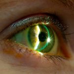 8616297014_aeab2dcaad_k